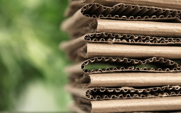 Unsticking packaging’s waste problem with biodegradable adhesives