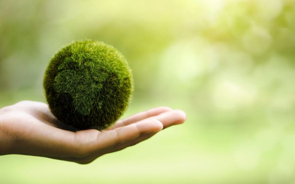 Biodegradable adhesives provide peace of mind on the environment