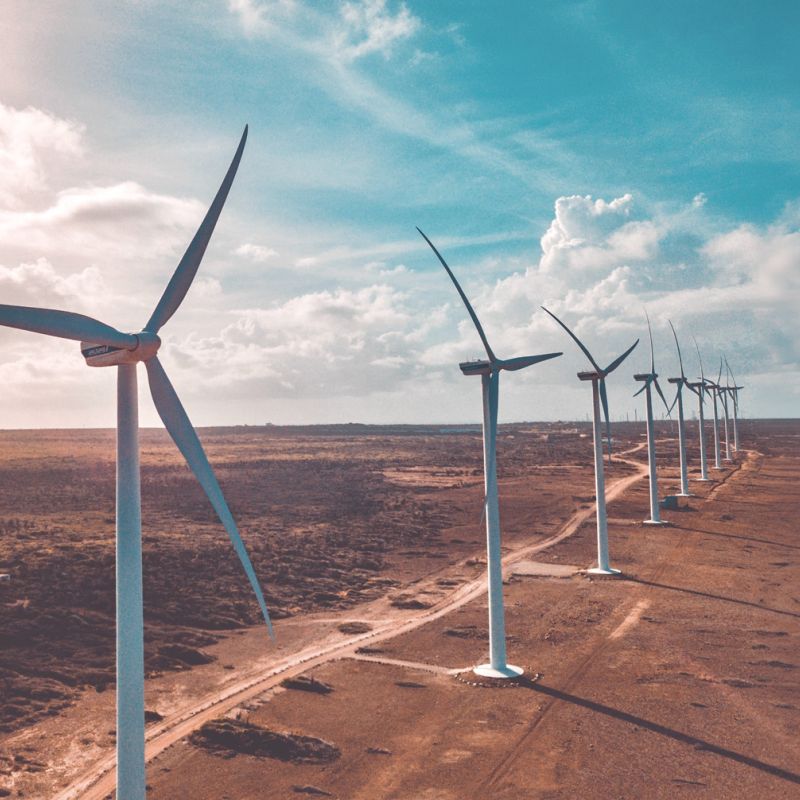 Biobased & Biodegradable What exactly do they mean? Power Adhesives